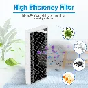 DFI030037 Filtre hepa.webp